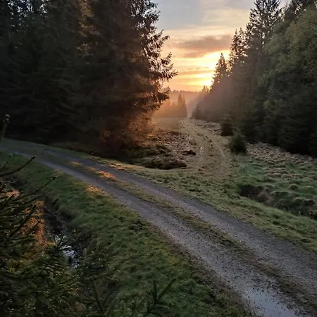 Sous-bois Marie Villa