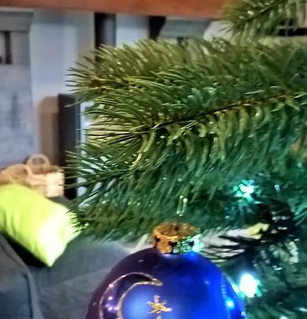 Villa Sous-bois Marie *