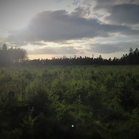 Sous-bois Marie Villa