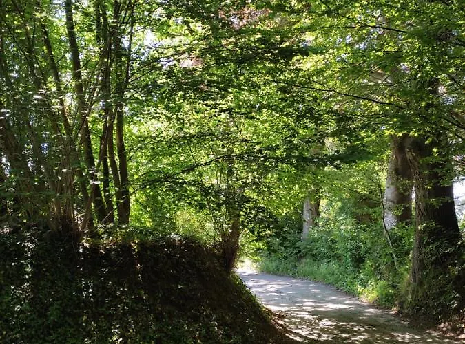 Βίλα Sous-bois Marie