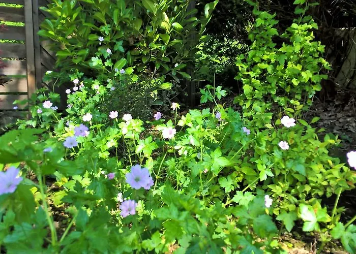 Βίλα Sous-bois Marie