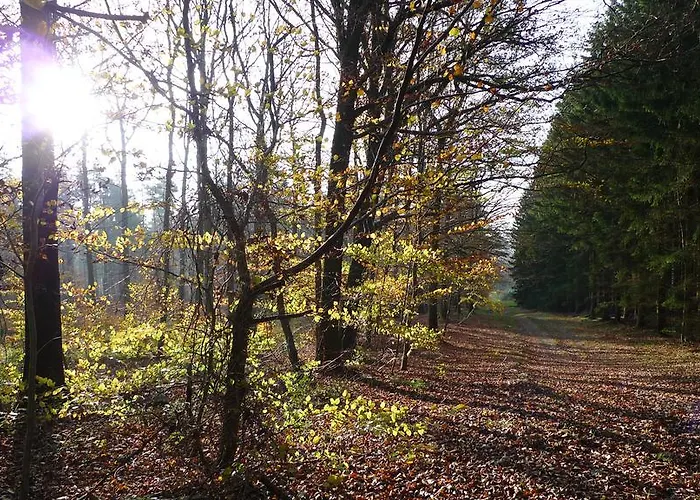 Βίλα Sous-bois Marie Σπα